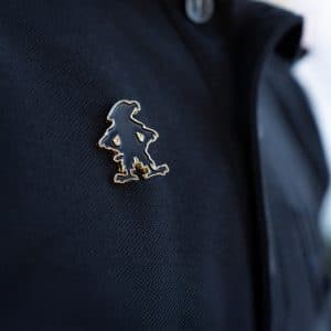 Pin Rapacito